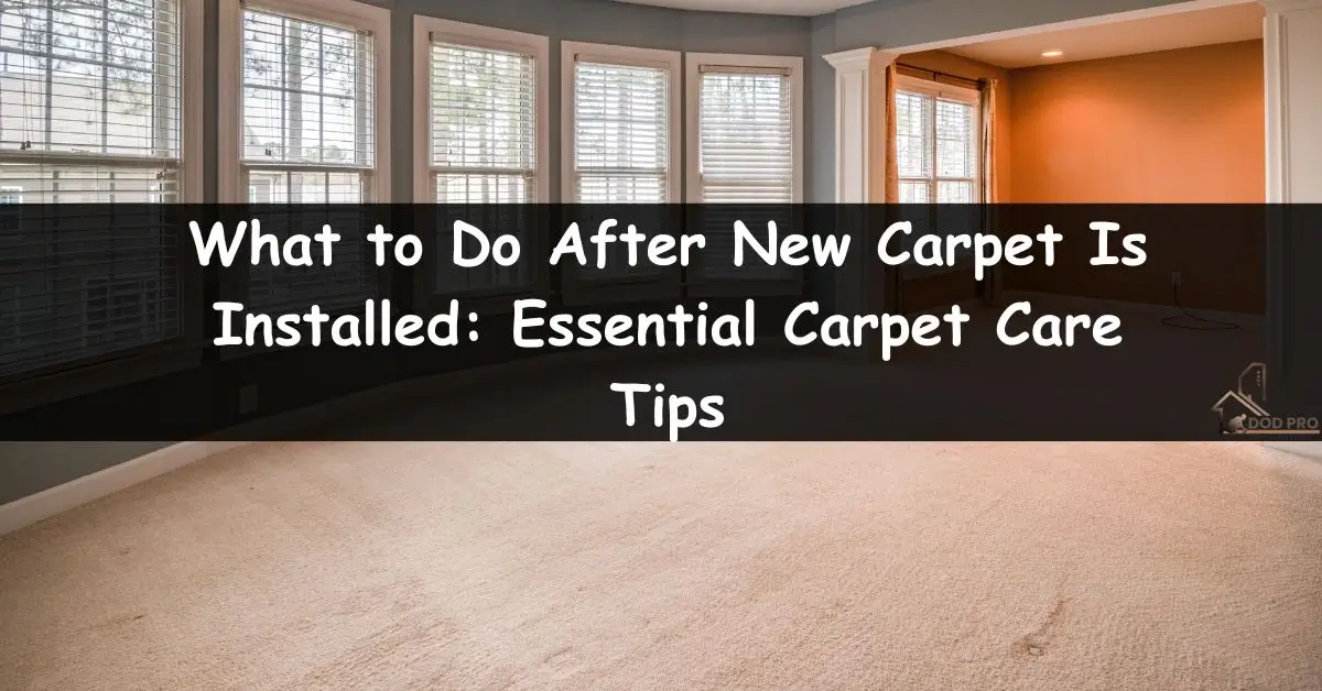 What to Do After New Carpet Is Installed