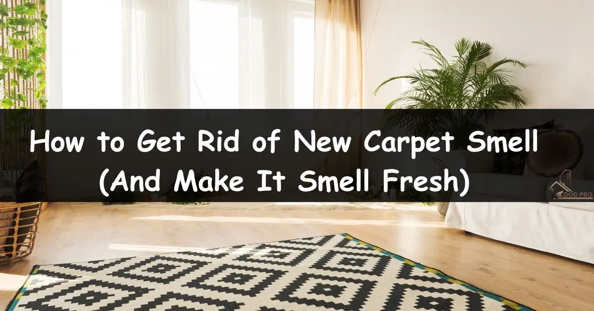 New Carpet Smell